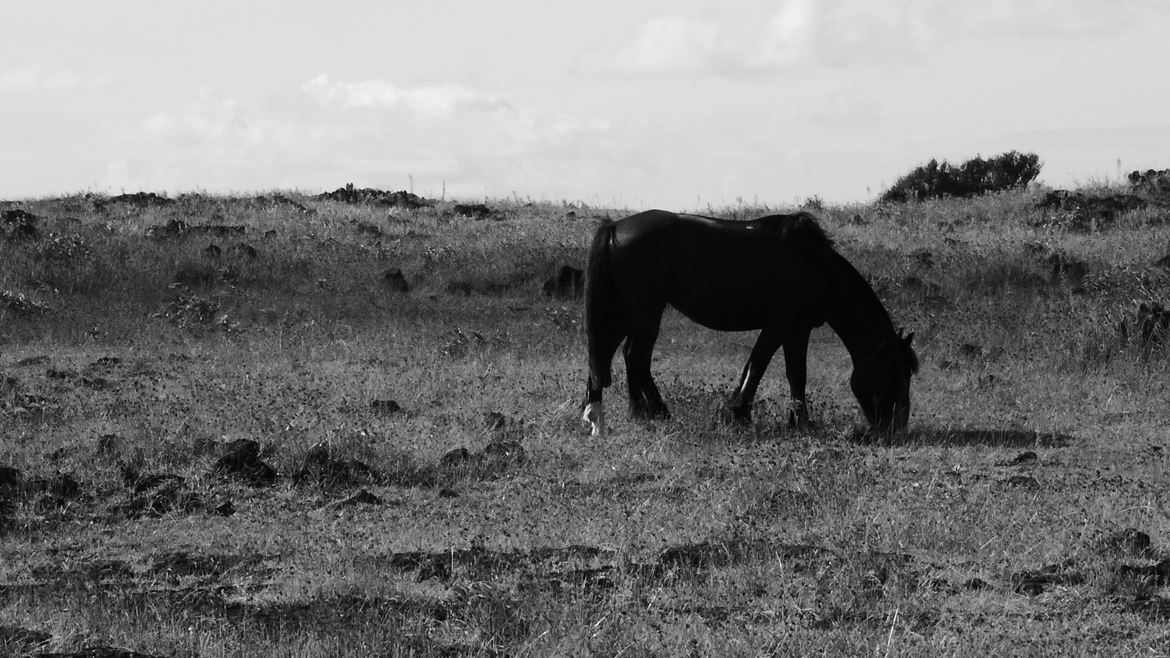 P1400731