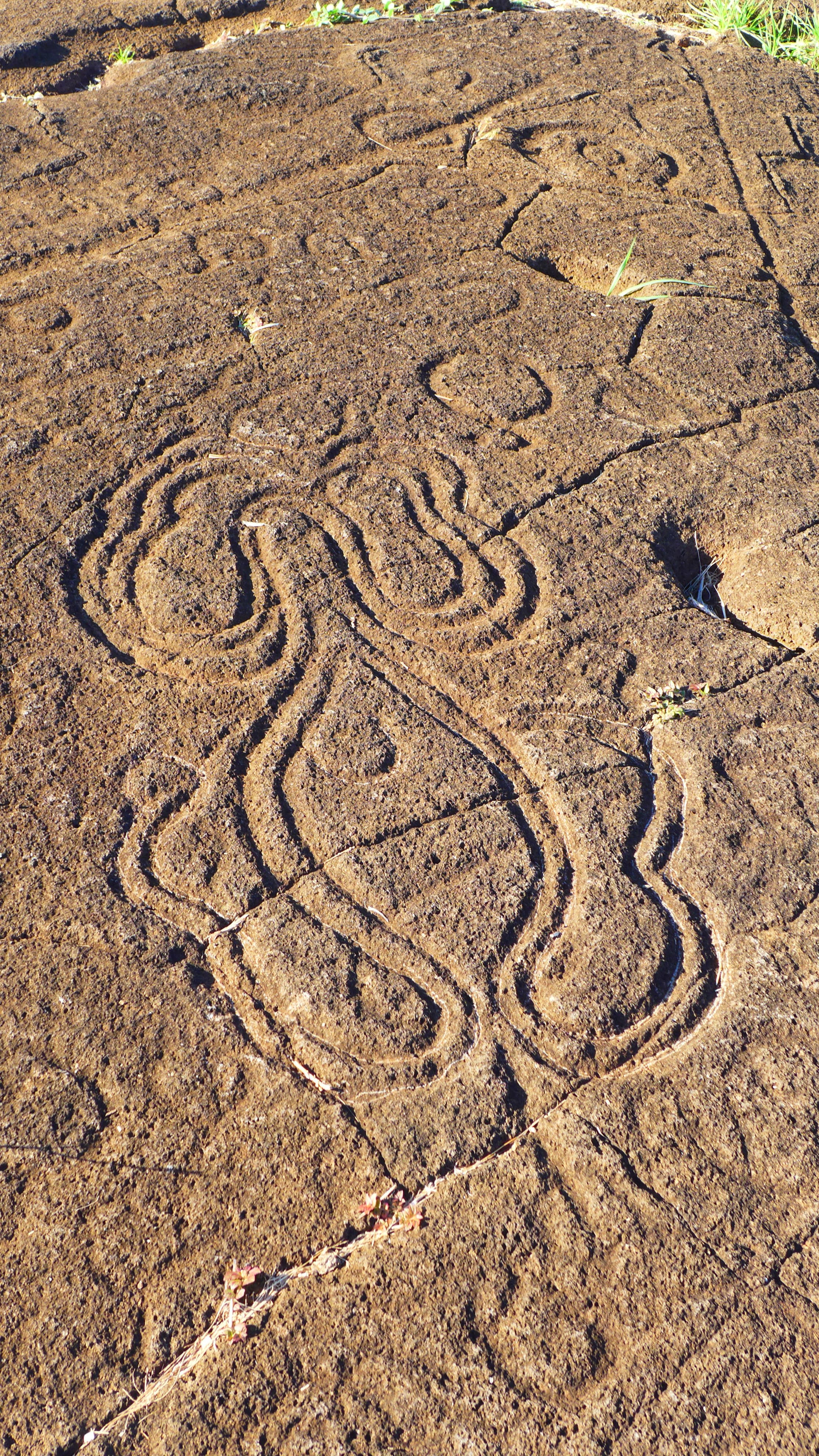 P1410316