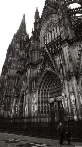 Lichtenbusch Nord→Köln