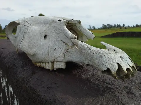 Easter Island